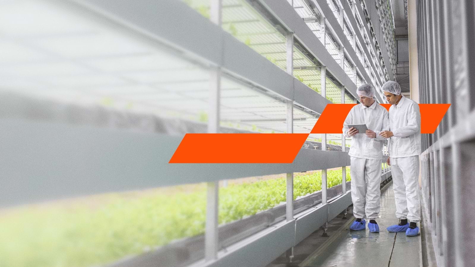 Two men in a greenhouse