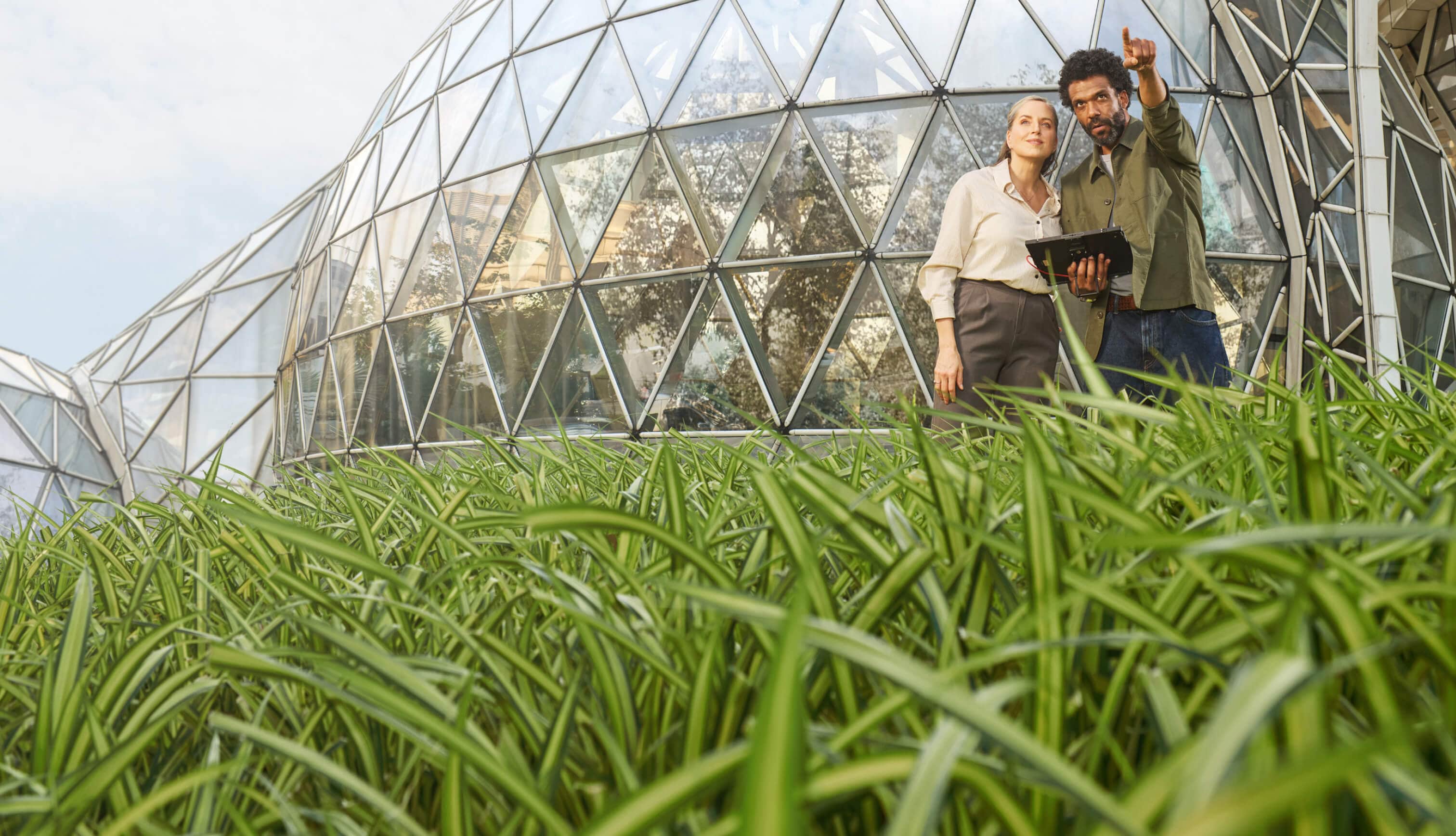 greenhouse